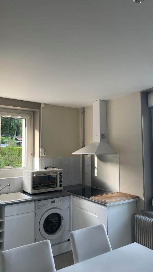 Appartement La Fourmi Verte Bruyeres ภายนอก รูปภาพ